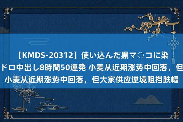 【KMDS-20312】使い込んだ黒マ○コに染み渡る息子の精液ドロドロ中出し8時間50連発 小麦从近期涨势中回落，但大家供应逆境阻挡跌幅