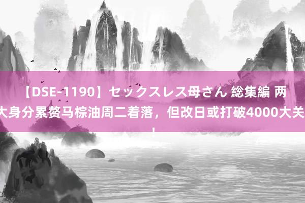 【DSE-1190】セックスレス母さん 総集編 两大身分累赘马棕油周二着落，但改日或打破4000大关！