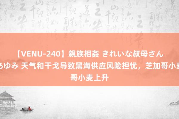 【VENU-240】親族相姦 きれいな叔母さん 高梨あゆみ 天气和干戈导致黑海供应风险担忧，芝加哥小麦上升